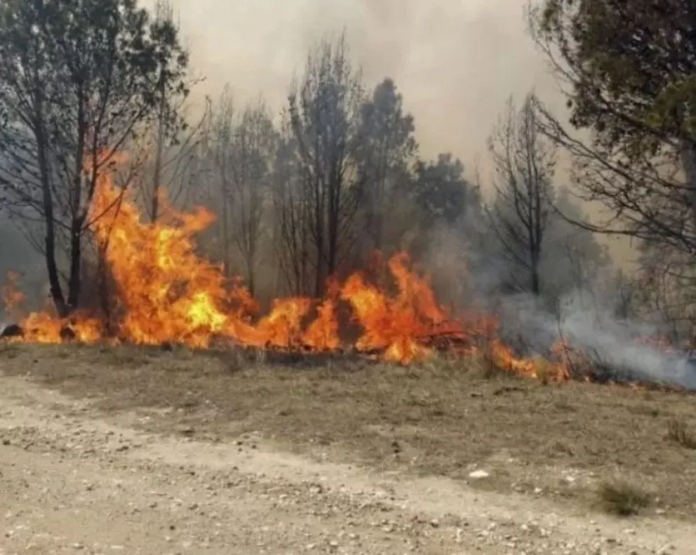 Corrientes envió bomberos y equipamientos para combatir los incendios de Jujuy