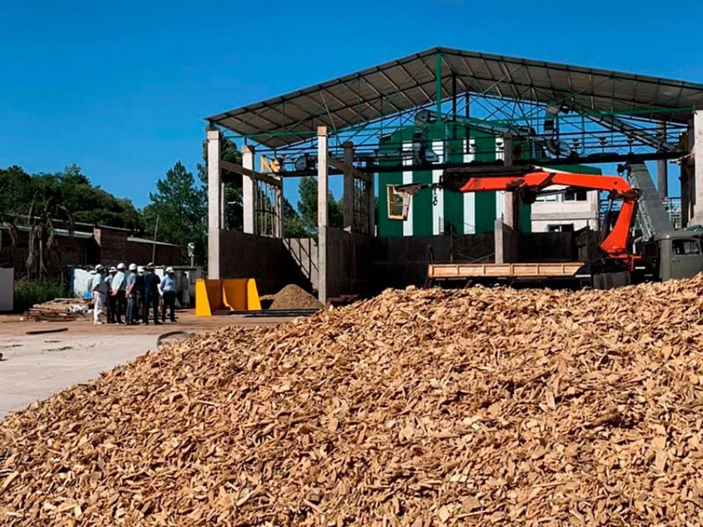 Misiones tendrá una planta que generará energía con residuos de yerba, té y tabaco 