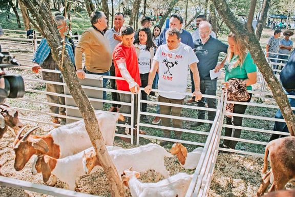 Herrera Ahuad destacó la producción local de animales 