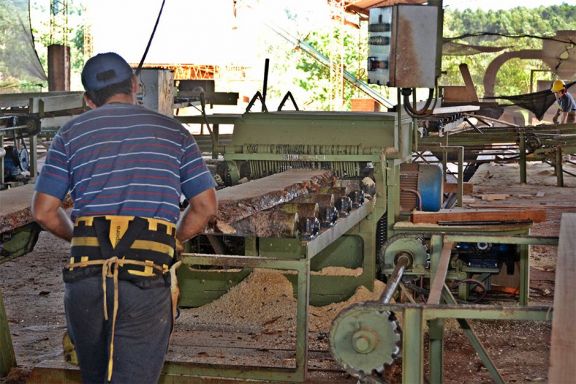 Madereros insisten en más acceso a divisas para el recambio de máquinas