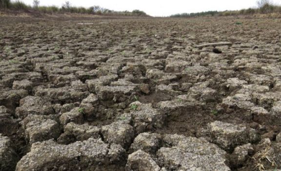 Por la sequía declaran la emergencia agropecuaria en 22 distritos