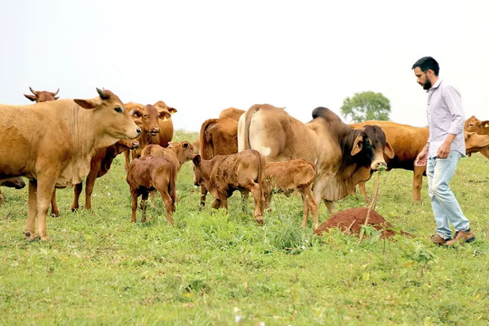 Trabajos para potenciar la ganadería entusiasman a productores de Azara 