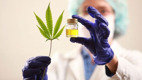 Misiones avanza a la vanguardia con la producción de Cannabis medicinal 