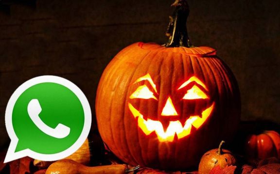 WhatsApp: ¿Cómo activar el 'modo Halloween' en Android y en pocos pasos?