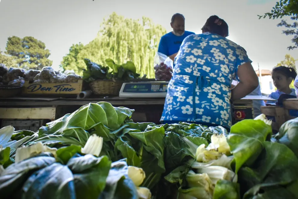 Éxito en la nueva edición de la Feria Agroecológica, que sostiene la producción saludable