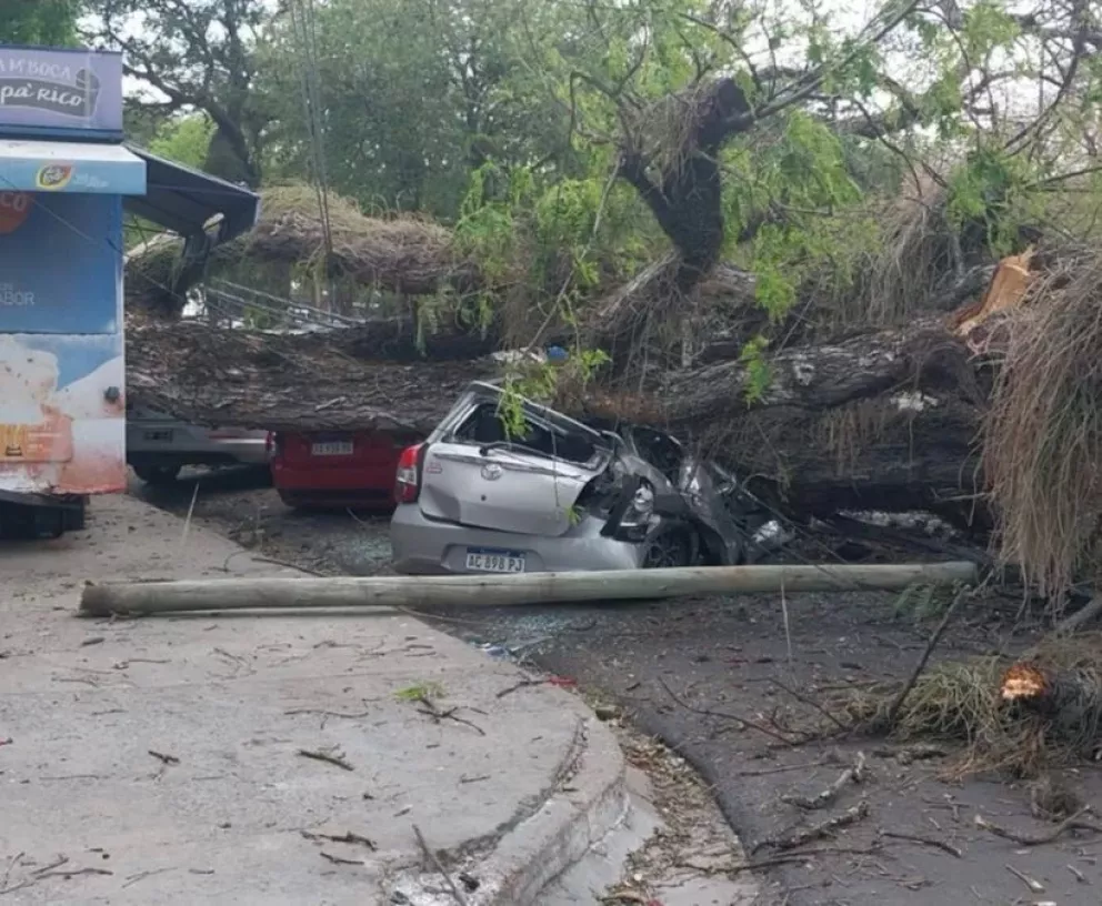 Temporal causó destrozos en Corrientes: al menos cinco autos terminaron destrozados por la caída de un árbol