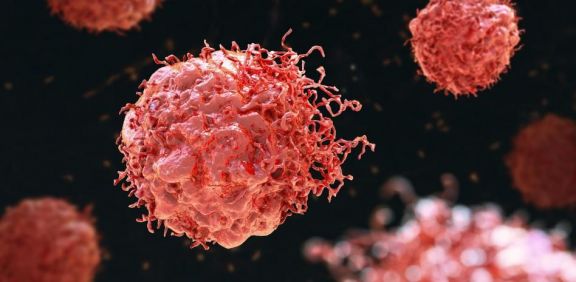 El fármaco contra el cáncer que está siendo un éxito en el primer ensayo clínico en pacientes