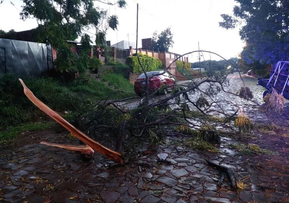 Árboles caídos y voladuras de techos a causa de la tormenta en Posadas