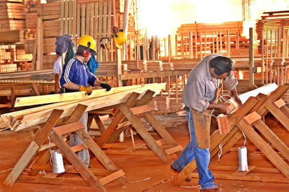 Importaciones: nuevo sistema complica a la forestoindustria