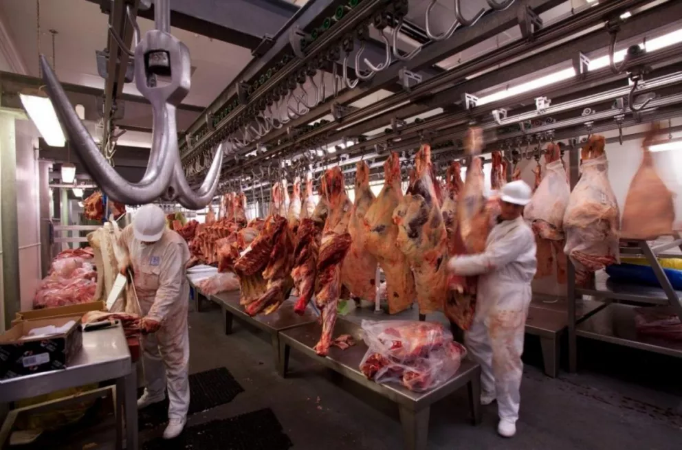 Exportaciones de carne vacuna cerrarán 2023 con una merma del 28% interanual