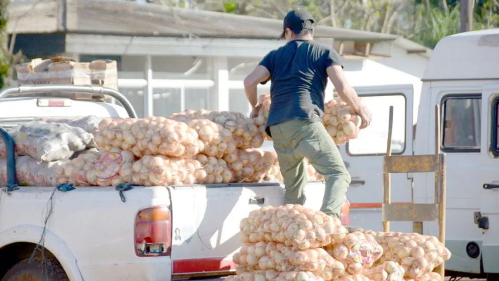 Llegan más frutas y hortalizas y varios precios están en baja