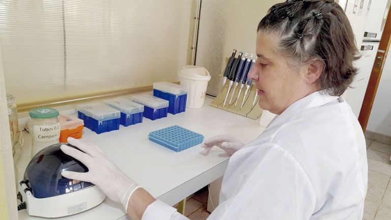 Investigan mutaciones del VPH en mujeres de Posadas