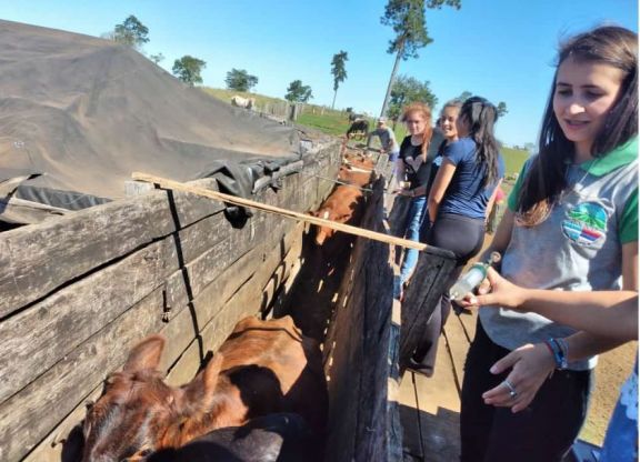 Irigoyen: alumnos del IEA 17 se capacitan en producción bovina y ovina  a campo abierto 