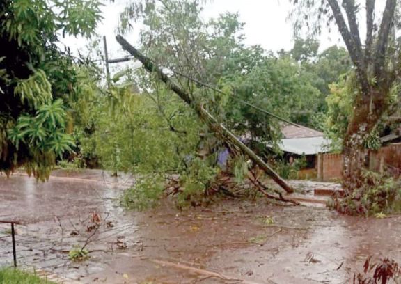 Lluvia, granizo, viento y árboles caídos en Libertad