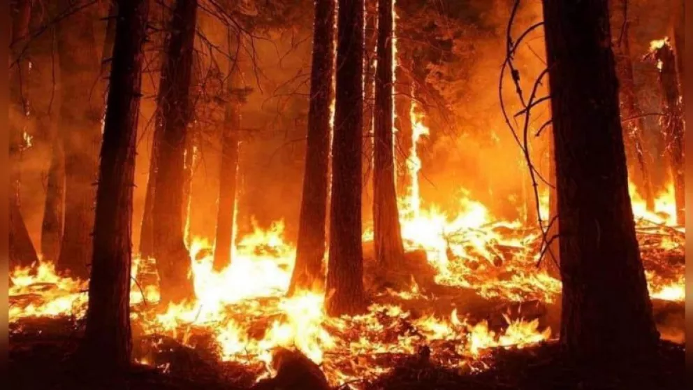 Incendio de gran magnitud avanza sobre una extensa reserva en Tierra del Fuego