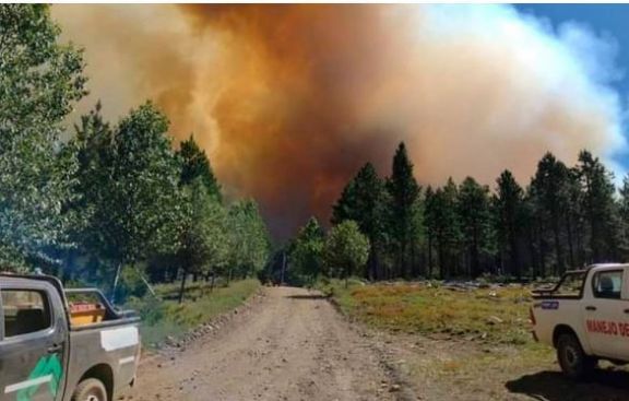 Tierra del Fuego: los incendios forestales arrasaron miles de hectáreas y preocupa el avance de las llamas