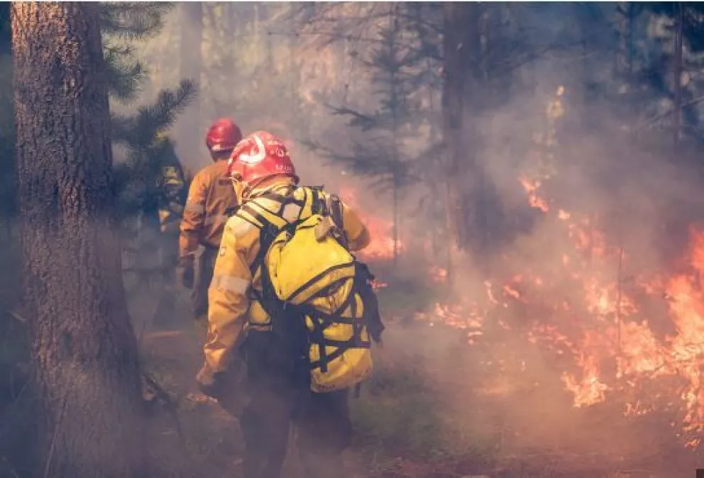 Las llamas en Tierra del Fuego abarcan “9.000 hectáreas”: la justicia investiga su origen