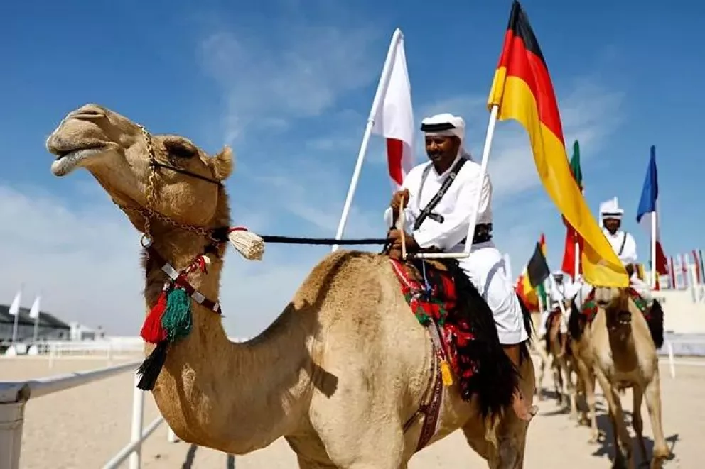 Gripe del camello: el nuevo virus que afecta a la Selección de Francia