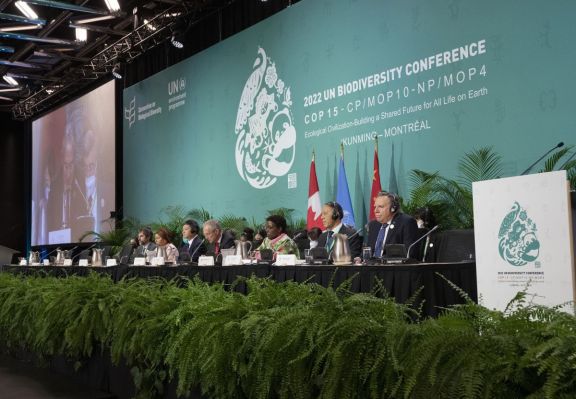 La ONU avanzó en un acuerdo histórico para financiar la protección de la biodiversidad