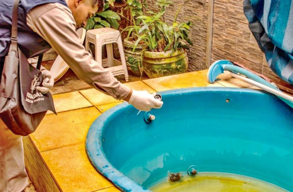 Instan a controlar piletas para evitar proliferación de mosquitos Instan a controlar piletas para evitar proliferación de mosquitos