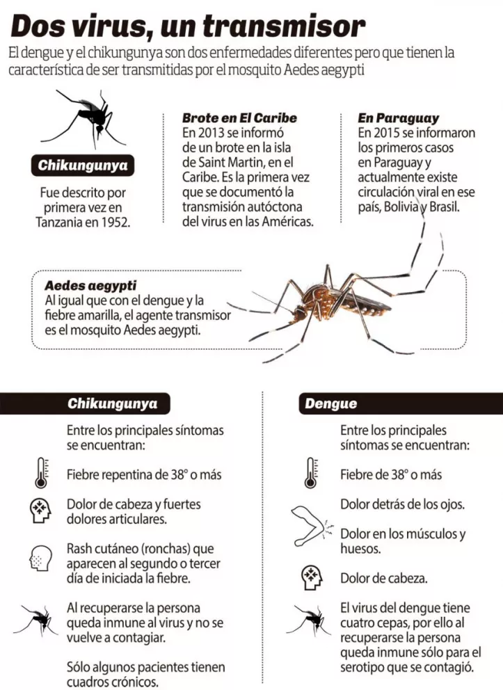Encarnación confirmó su primer caso de chikungunya y crece la alerta regional