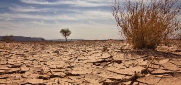Preocupa la extrema sequía de Corrientes y el peligro de incendios 