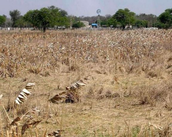 Afirman que el grado de sequía en Corrientes “ya es galopante”