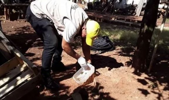 En Paraguay dan una semana de plazo para la limpieza de terrenos ante el avance del Chikungunya