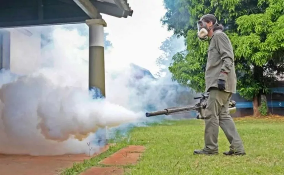 Advierten que el abuso de pesticidas favorece la resistencia en mosquitos 