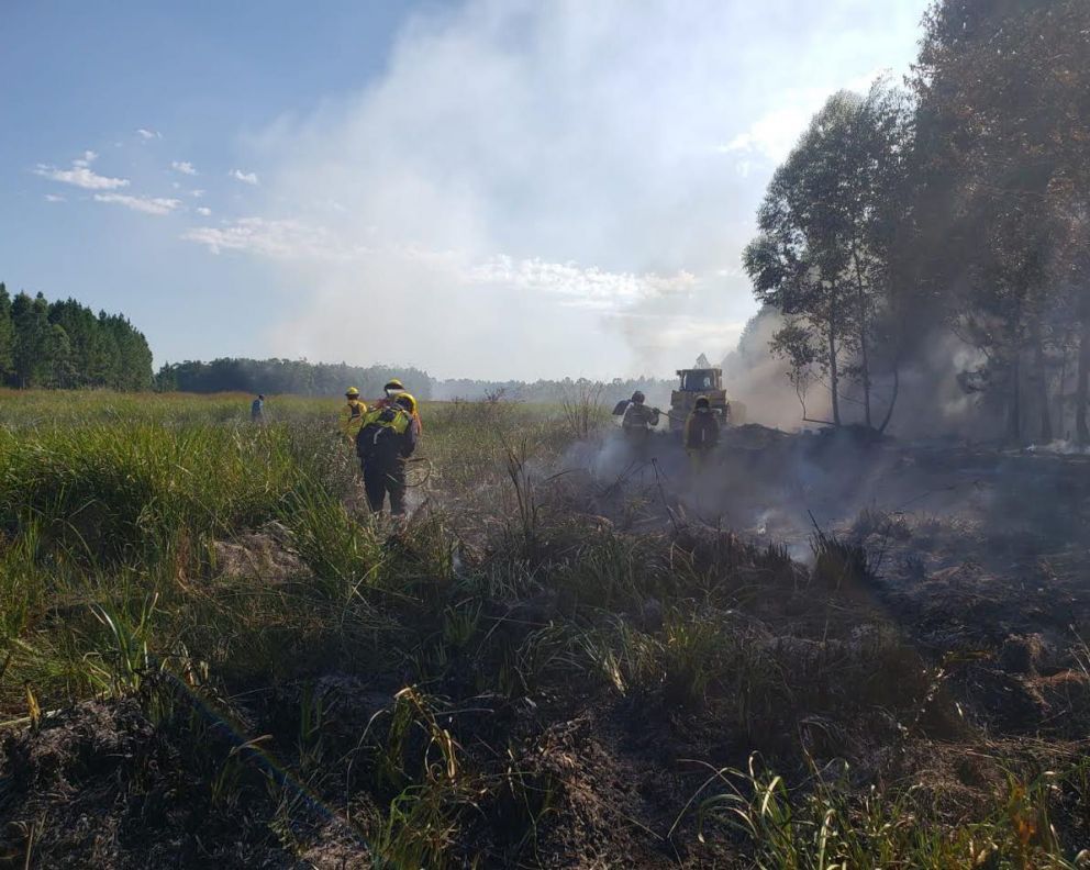 Incendio en Villa Olivari: “Están contenidos, pero no controlados”