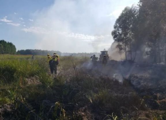 Corrientes: incendios ya afectaron 300 hectáreas y hay doce focos
