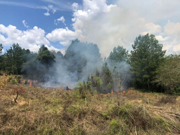 Sofocaron incendios forestales y de malezas en varias localidades 