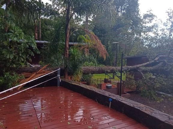 Fuerte temporal azotó gran parte de Puerto Iguazú y dejó varios árboles caídos