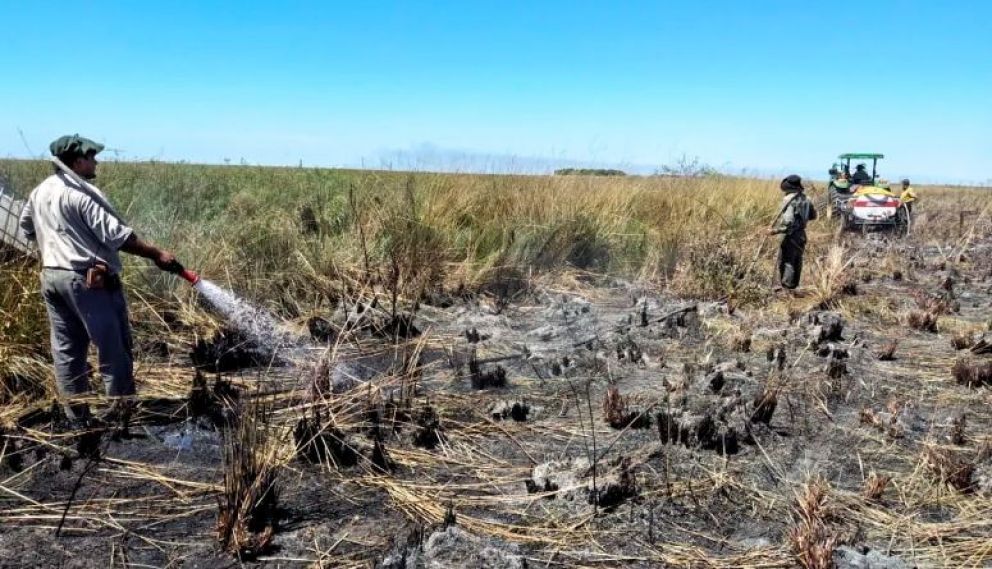 Estiman que ya se quemaron unas 4000 hectáreas de pastizales en el Parque Iberá