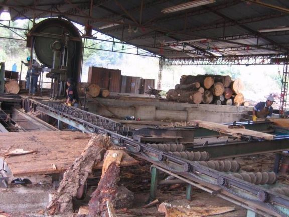 Las interrupciones eléctricas hicieron pausar la industria maderera en Virasoro