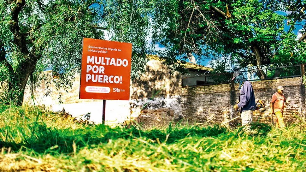 Ante el avance de la chikungunya en Paraguay, sugieren usar mosquitero