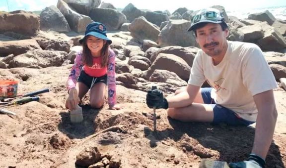 Una niña de 9 años encontró los restos de dos gliptodontes de casi 3 millones de años