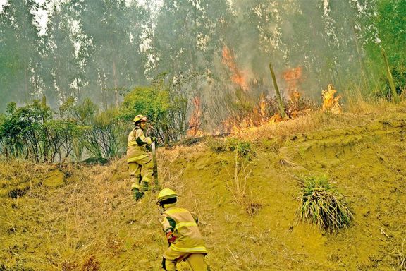 Los incendios en Chile ya dejaron un total de 22 muertos
