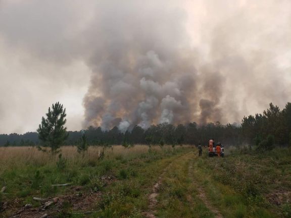 Incendios en Corrientes: "La situación es crítica pero está bajo control", afirman
