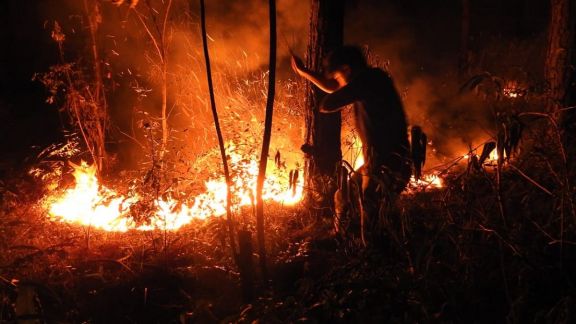 Alerta por un foco de incendio cercano a la reserva natural Teyú Cuaré