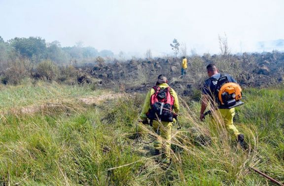 La falta de lluvia aumenta la alerta por incendios forestales en Misiones