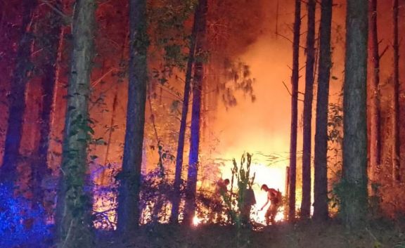 Tras varias horas de trabajo, bomberos lograron sofocar un gran incendio forestal en Mártires