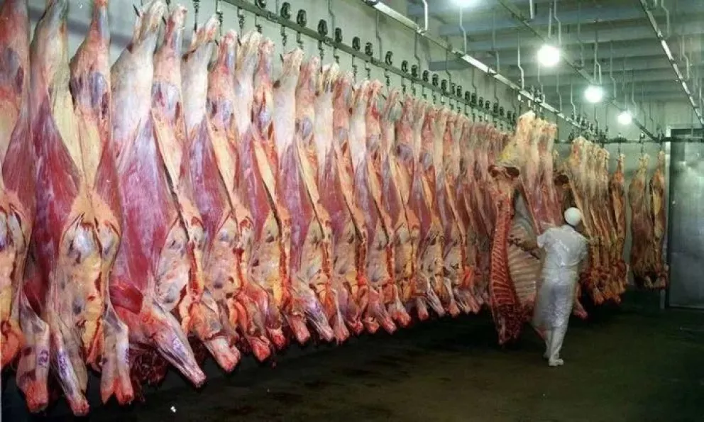 Aduana detectó maniobras de subfacturación en exportaciones de carne por casi u$s12 millones