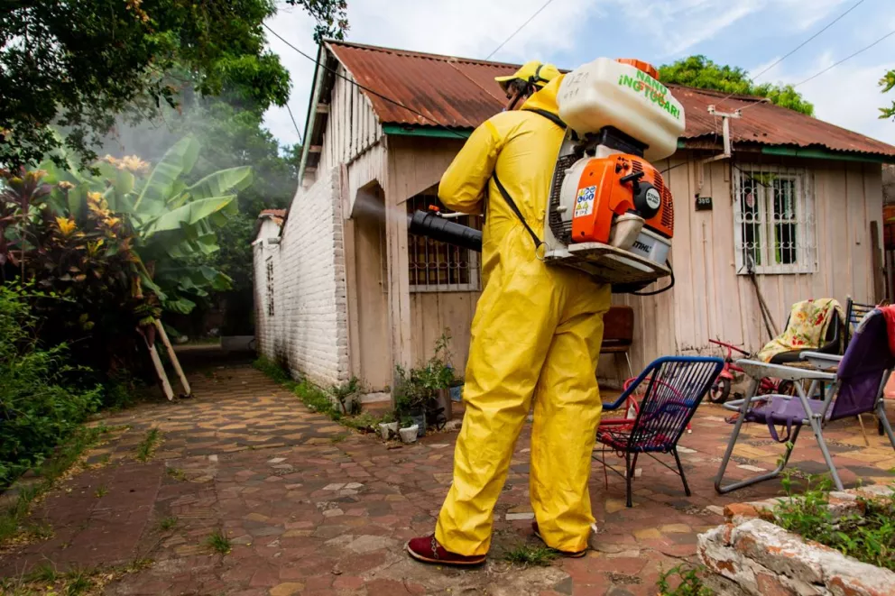 Otros dos casos de chikungunya en Iguazú llevan a 4 el número de contagiados en Misiones 