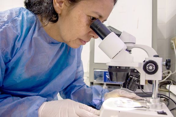 Fitoproductos y bioinsumos en base a hongos, lo que se investiga en el BioLab
