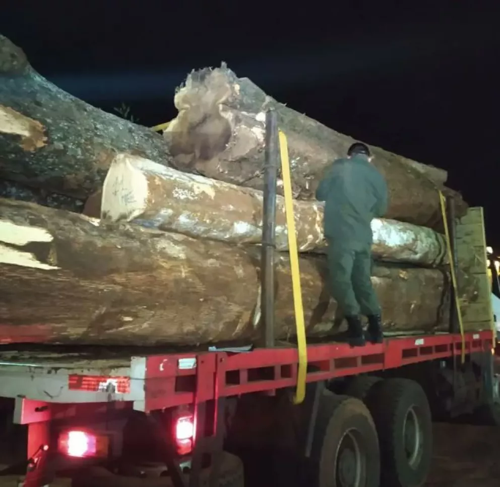 Incautan un camión que transportaba madera nativa por la ruta 13 en San Vicente