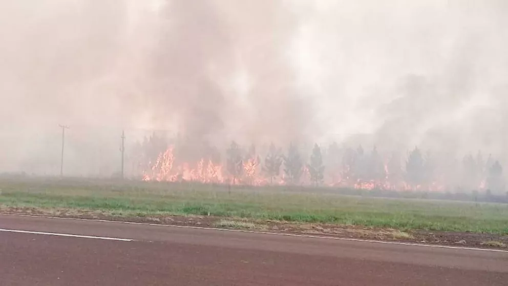 Corrientes registra más de quince focos de incendios y seis están activos