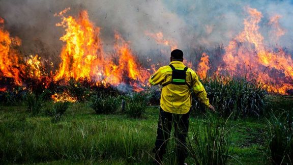 El fuego no da tregua y consumió 5.000 hectáreas en Ituzaingó