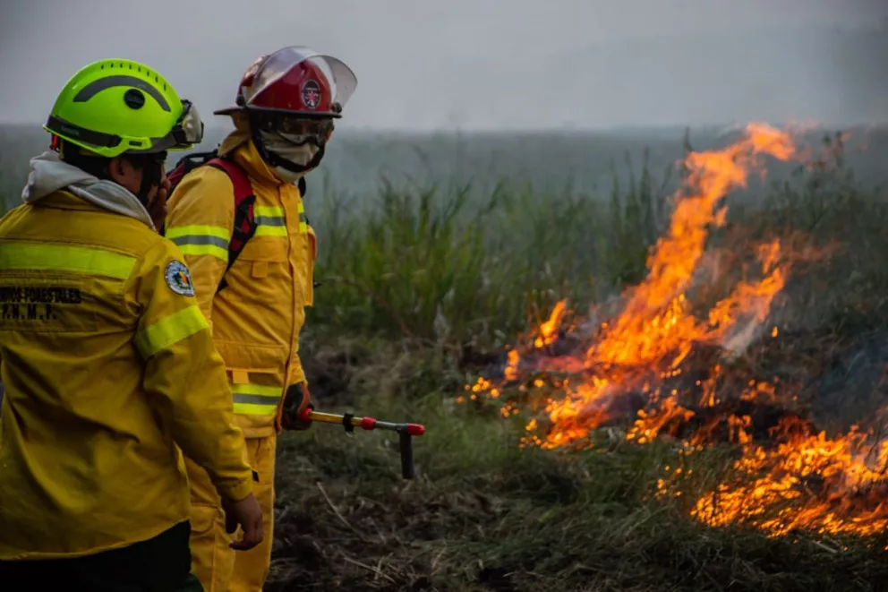 El fuego no da tregua y consumió 5.000 hectáreas en Ituzaingó
