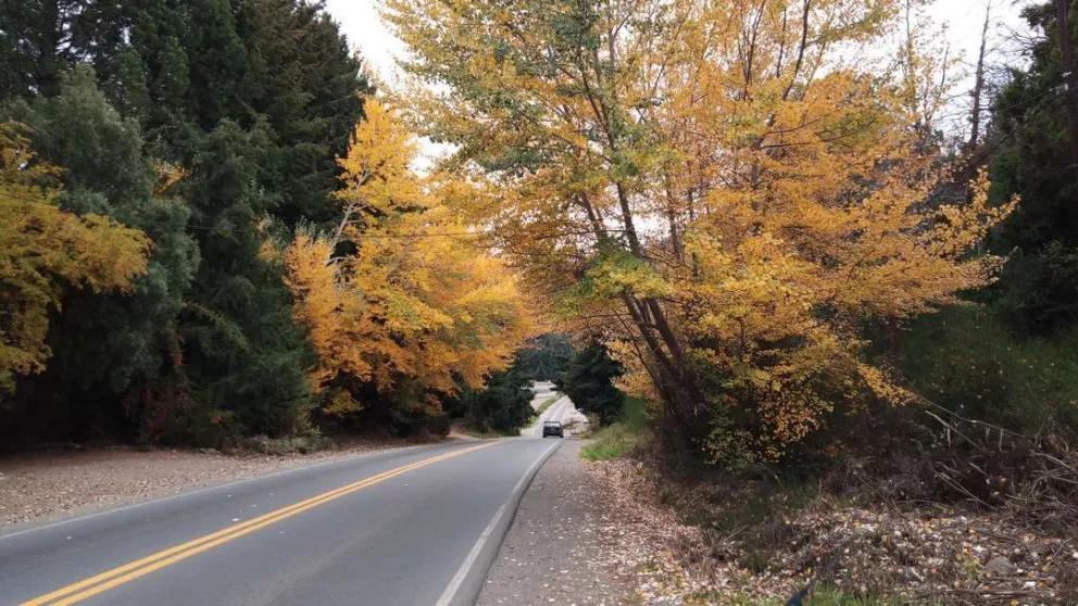 Bariloche: cómo estará el clima desde hoy hasta el sábado